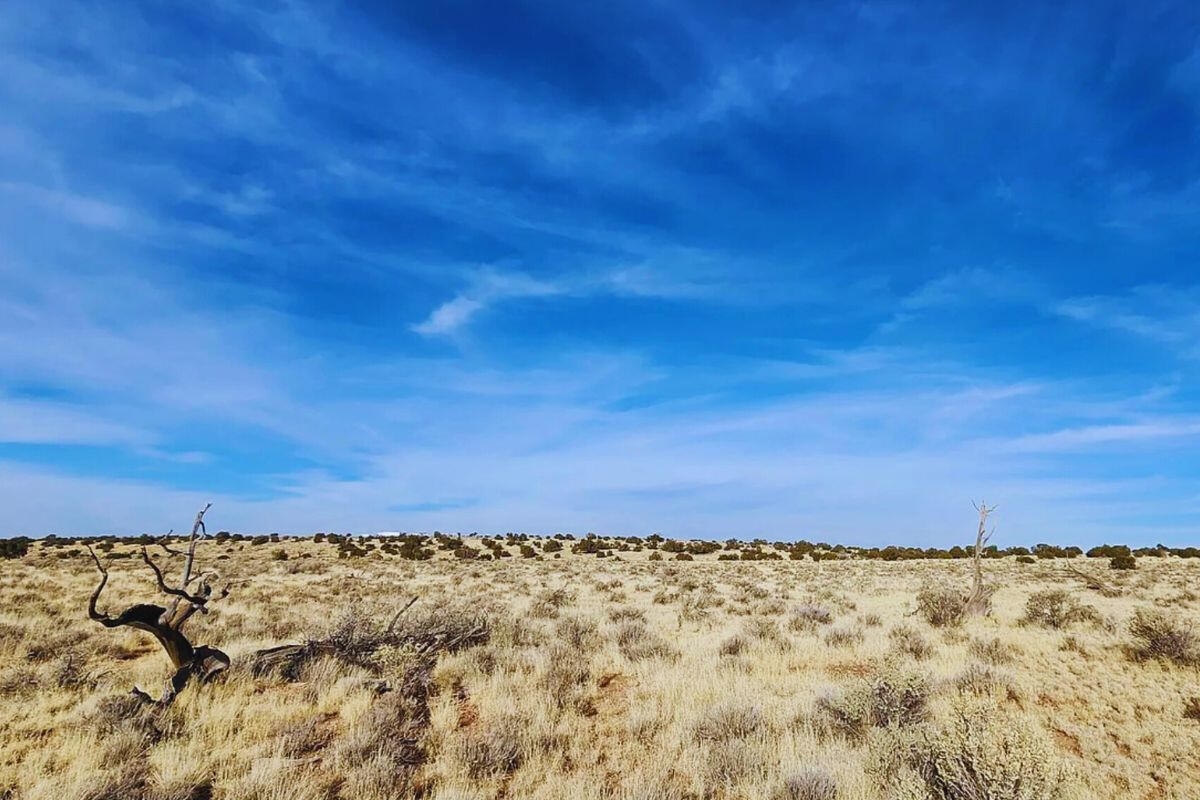 Deep 8 - 662 S WEDGEWOOD DR WILLIAMS, AZ 86046