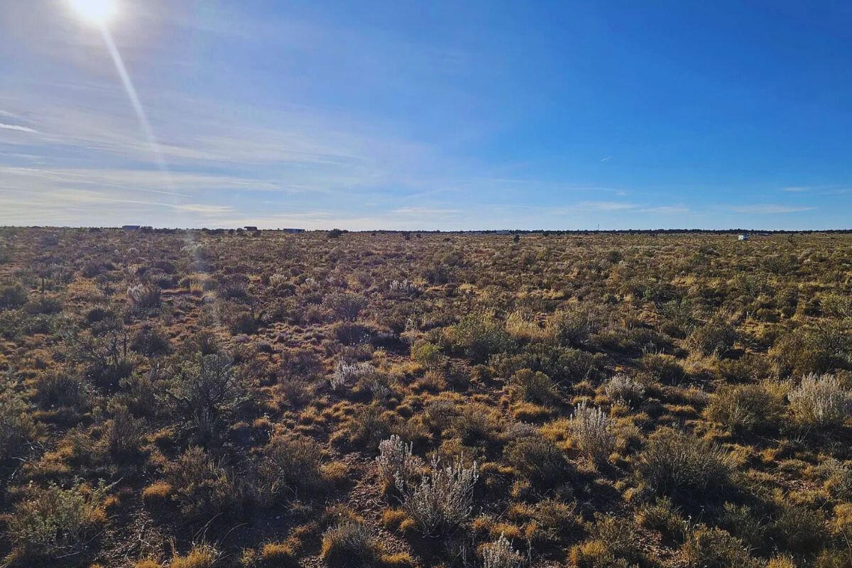 Deep 8 - 662 S WEDGEWOOD DR WILLIAMS, AZ 86046