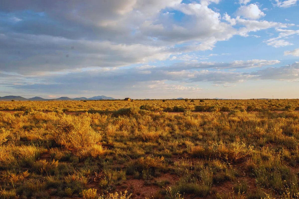 Deep 8 - 662 S WEDGEWOOD DR WILLIAMS, AZ 86046